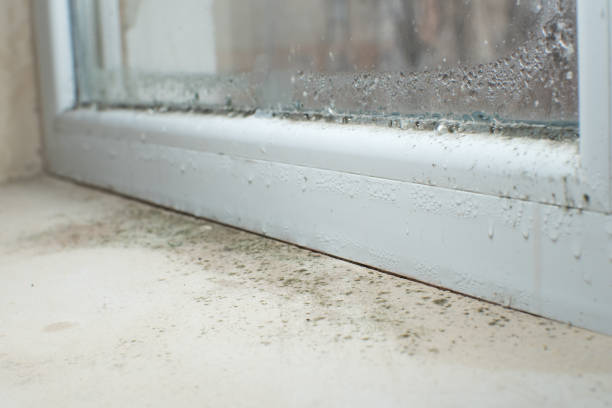 Mold Removal for HVAC Installations in Franklin, MI